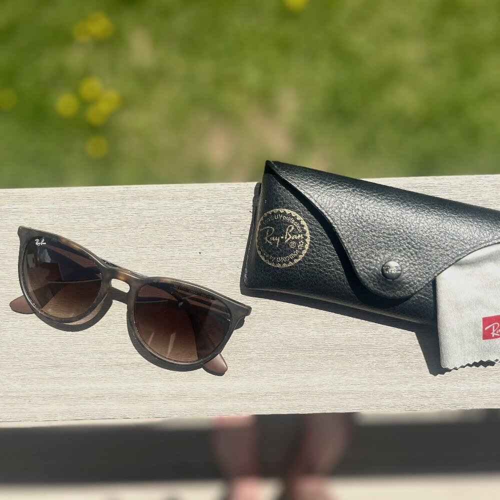 Ray-Ban Erika Sunglasses